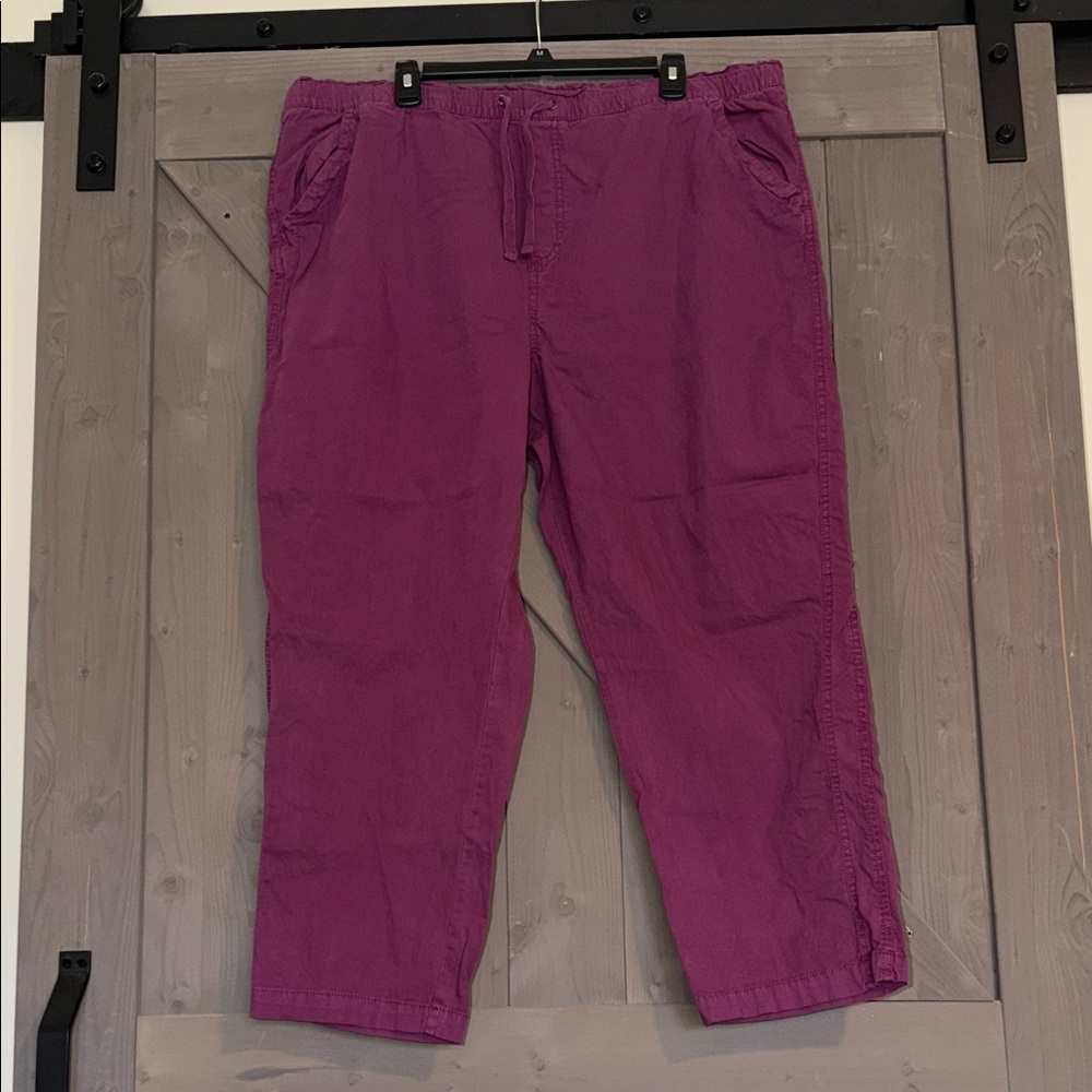 Sonoma Women's Pants in Vibrant Purple